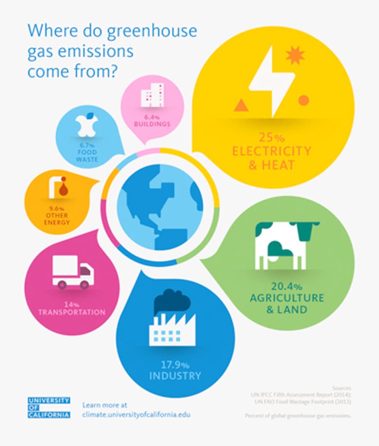 infografica fonti di gas serra