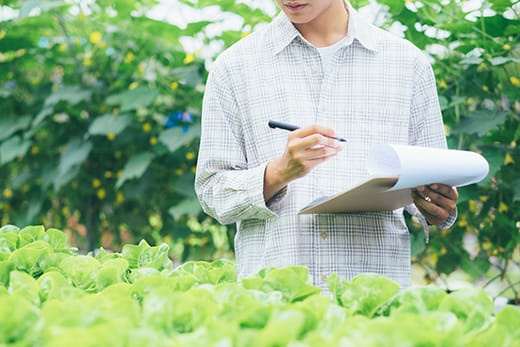 smart farming