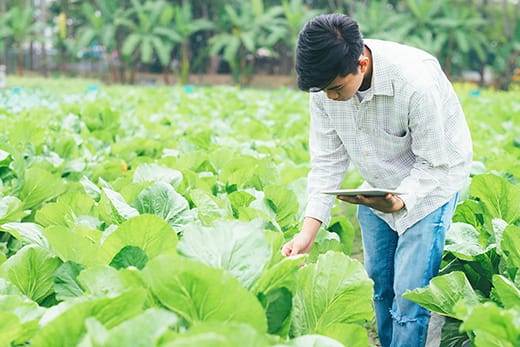 eco tecnologie